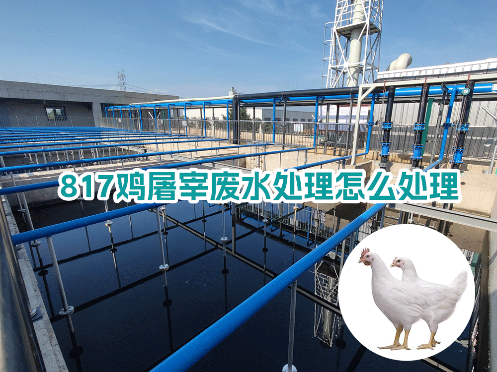 817雞屠宰廢水處理怎么處理?