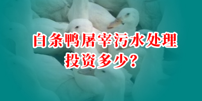 白條鴨屠宰污水處理投資多少？