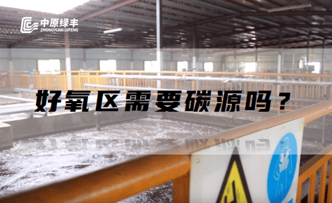 屠宰污水處理好氧區需要碳源嗎？