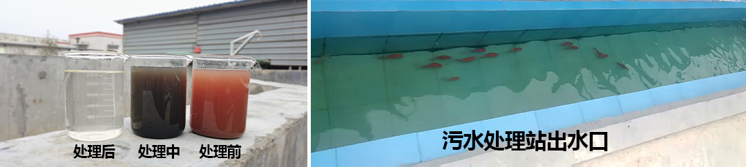 詳情頁(yè)-工程官網(wǎng)-食品廠(chǎng)污水處理工藝_15